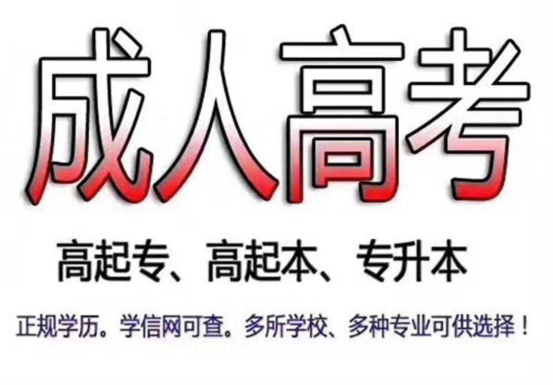 云南教育风向标：黛隆教育引领行业新潮流
